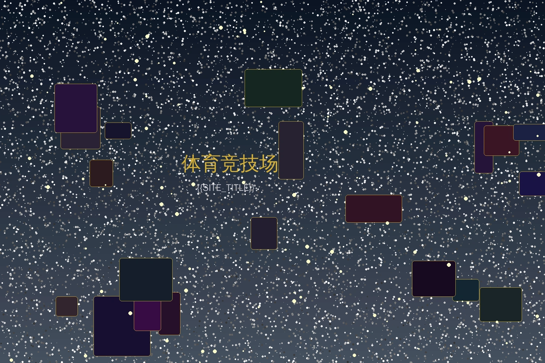 体育竞技场展示